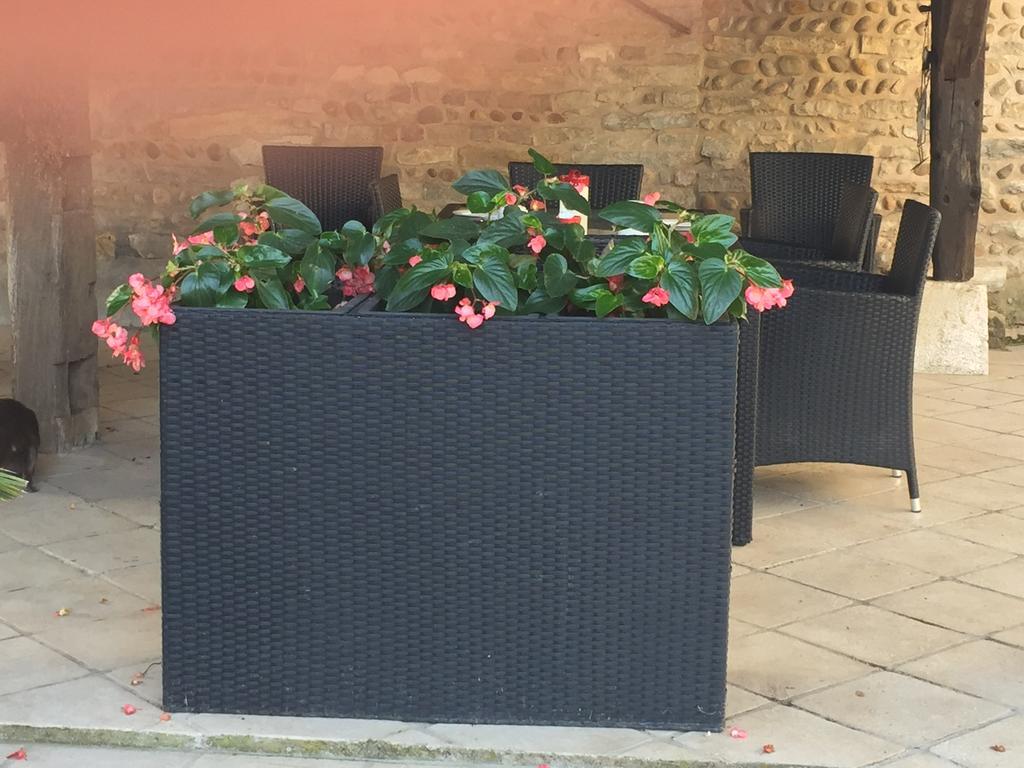 Viriat Le Moulin De Champagne Bed & Breakfast エクステリア 写真